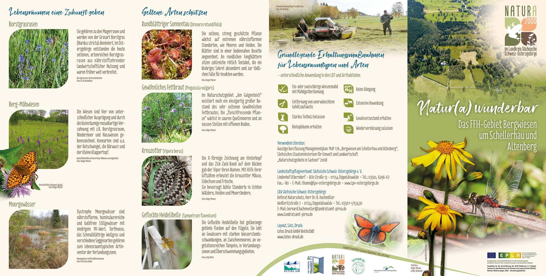 tl_files/downloads/Bilder Projekte/Projektstellen/Natura 2000 1.0/Flyer/Bergwiesen bei Altenberg und Schellerhau_1.jpg